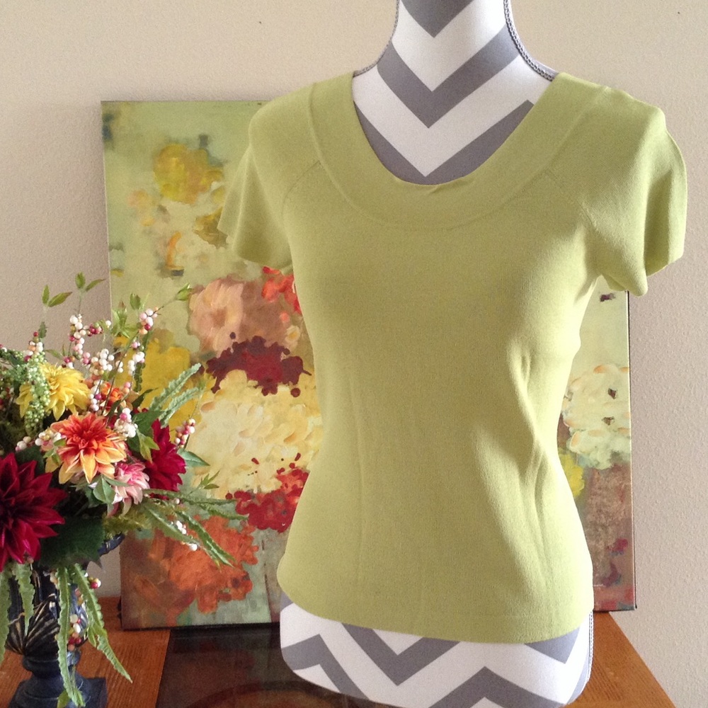 Talbots Tunic Petite Beautiful